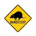 bandicoot